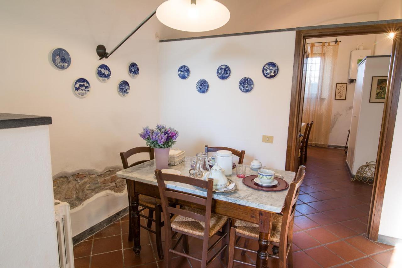 Podere Magnolia Pisa Bagian luar foto